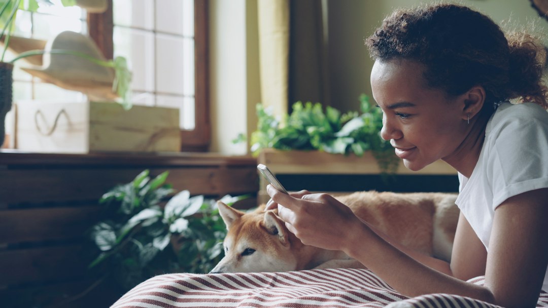 Warm cover illustration showing pet companionship in a modern home