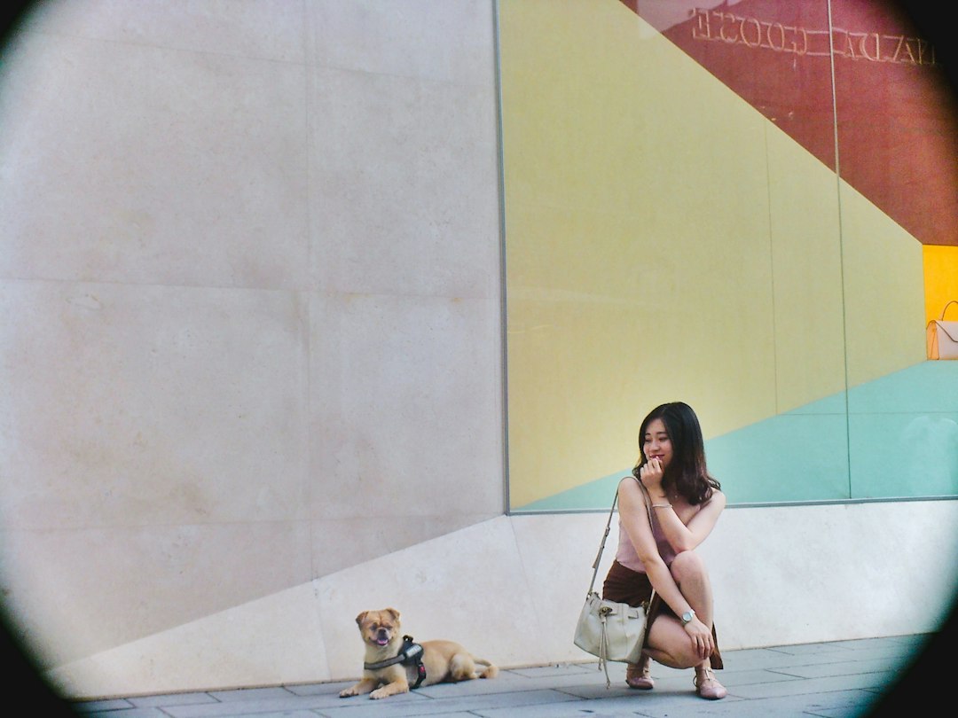 Cover image for positive reinforcement dog training with owner and puppy